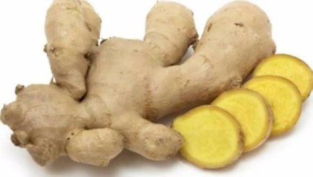 زنجبيل اخضر